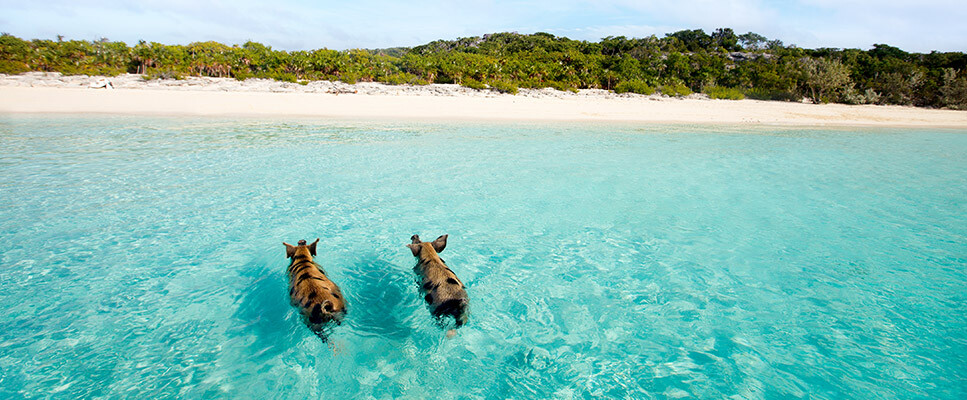 Air Canada Vacations Air Canada Vacations