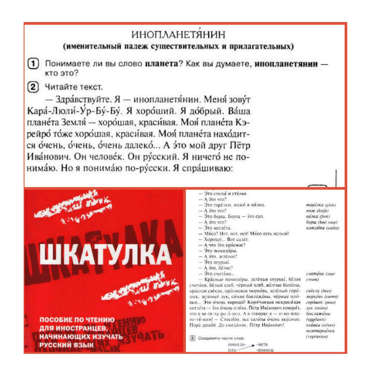 Какую книгу прочитать иностранцу русскую